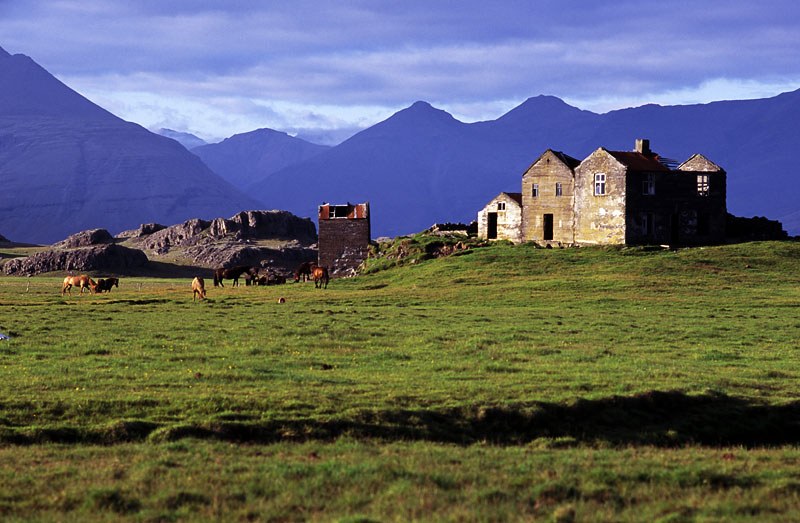 horsefarm-ruins1.jpg