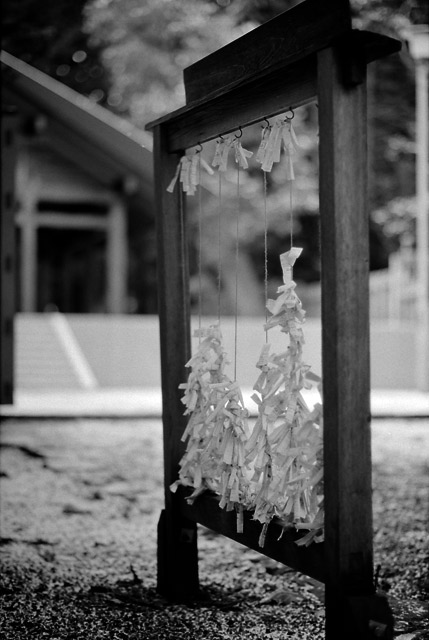 omikuji-rack.jpg
