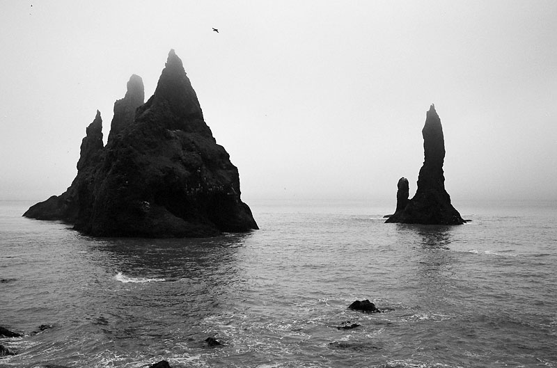 vik-coast.jpg